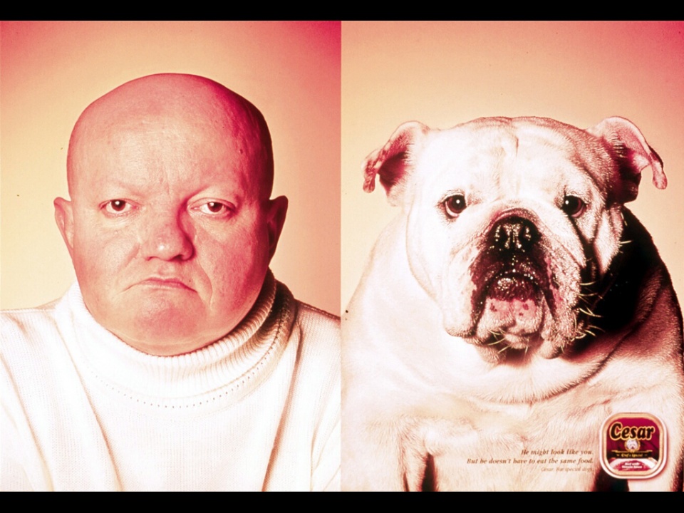 Campagne César - Tel maître, tel chien - Bouledogue