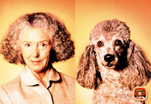 Campagne César - Tel maître, tel chien - Caniche