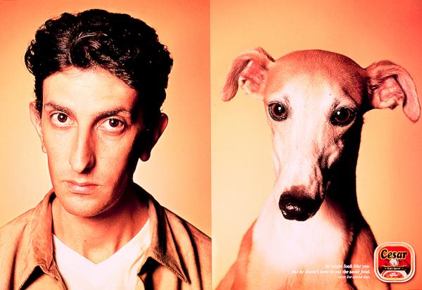 Campagne César - Tel maître, tel chien - Lévrier