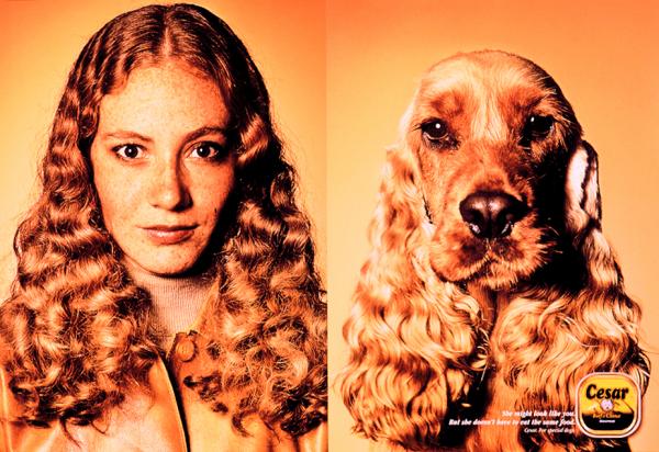 Campagne César - Tel maître, tel chien - Cocker