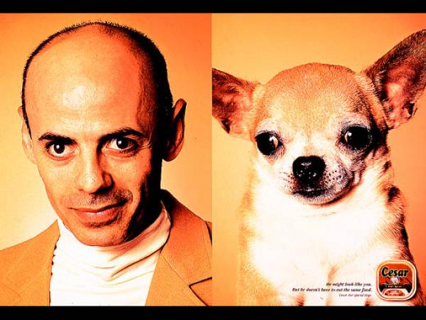 Campagne César - Tel maître, tel chien - Chihuahua