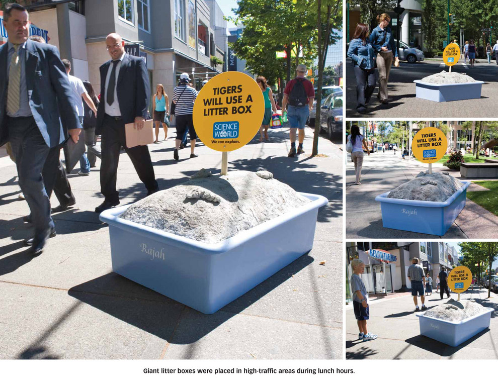 Publicité Science World - Musée - Vancouver - We can explain - Les tigres peuvent utiliser une caisse de litière - Grosse caisse de litière en pleine rue - Agence Rethink Vancouver - 2008