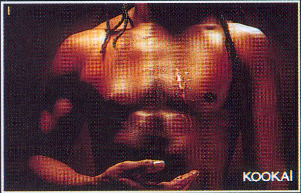 Publicité Kookaï - couleurs - 2000 - Cicatrice
