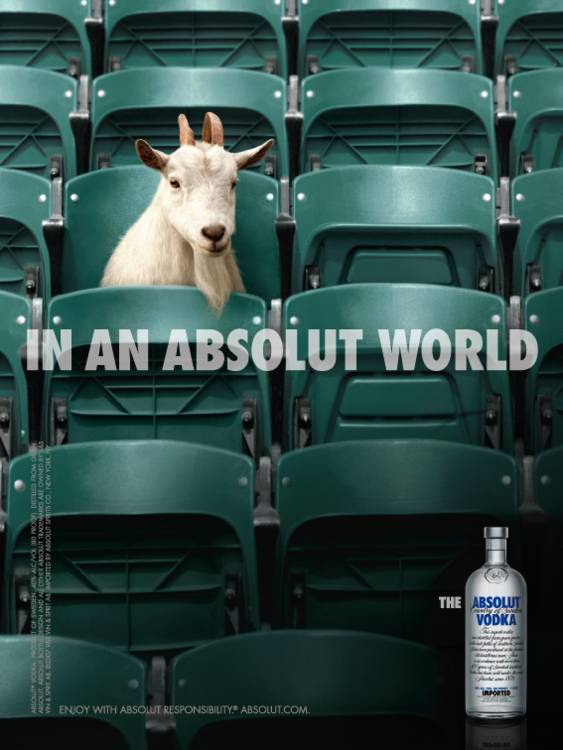 Campagne In an Absolut World - Chèvre