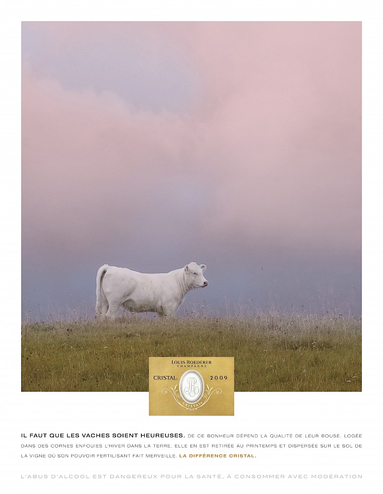 Publicité Roederer - Champagne Cristal - 2016 - Bovin