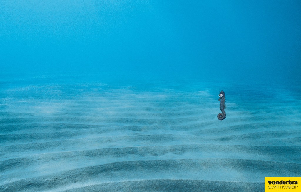Publicité Wonderbra - Maillots de Bain - Poissons - Mer - Hippoczmpe