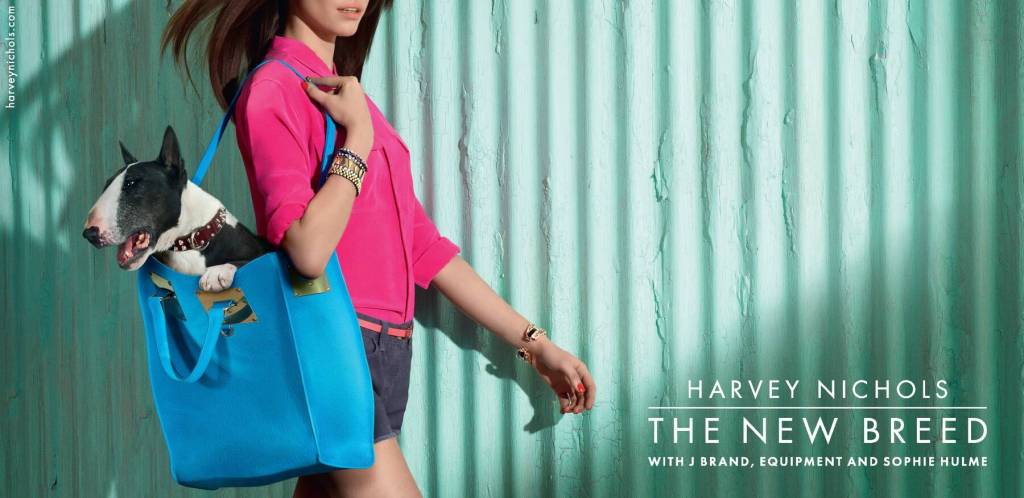 Publicité - Ads - Harvey Nichols - Chiens - Bull Terrier