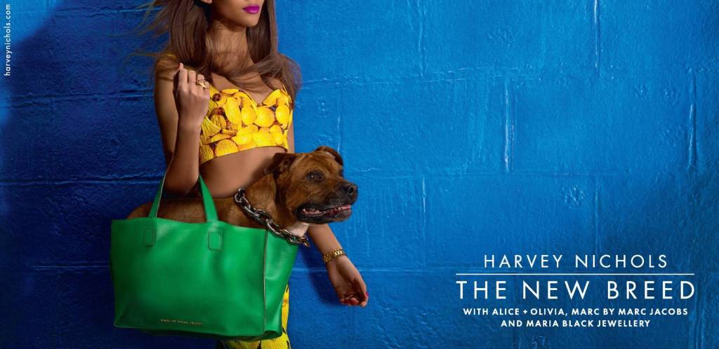 Publicité - Ads - Harvey Nichols - Chiens - American Staff