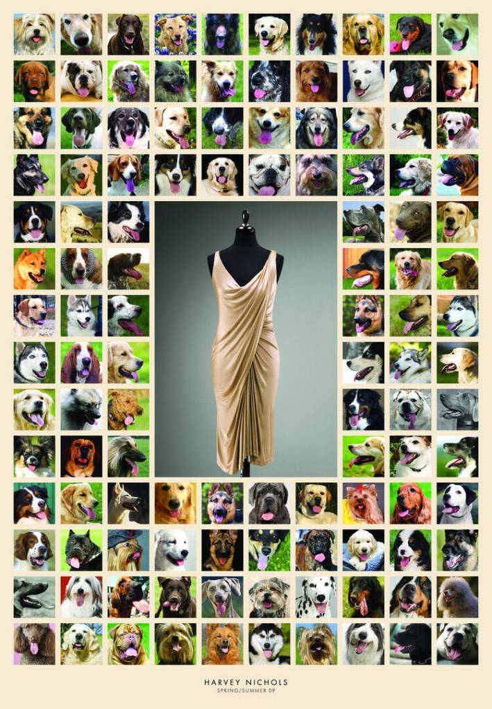 Publicité - Ads - Harvey Nichols - Collection Printemps-Été 2009 - Chiens