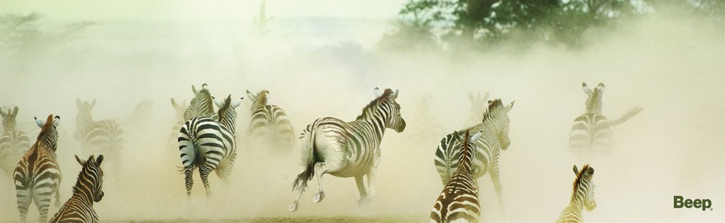 Publicité Jeep- Beep - Zebres- Turquie - 2014