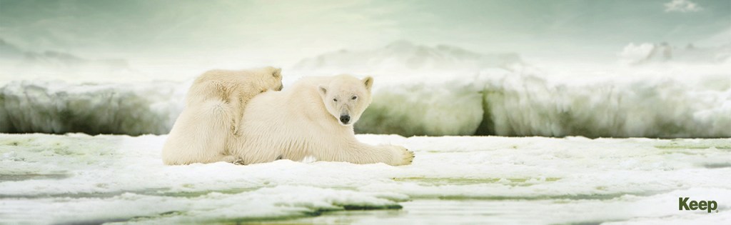 Publicité Jeep- Keep - Ours Blancs - Turquie - 2014