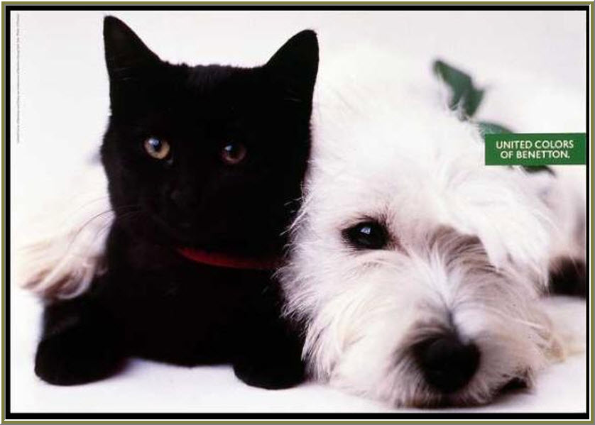 Publicité Benetton - United colors of Benetton — Oliviero Toscani - Chat noir et chien blanc - 1990