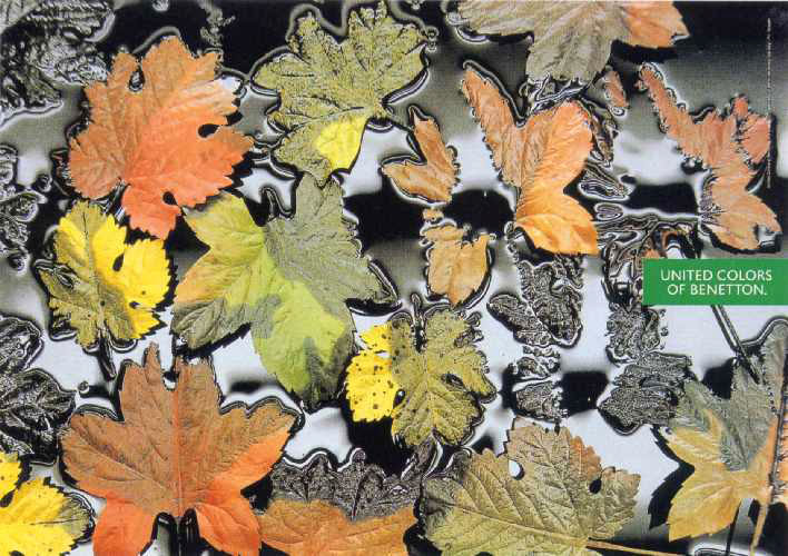 Publicité Benetton - United colors of Benetton — Oliviero Toscani - Feuilles d'arbres recouvertes de pétrole - 1991