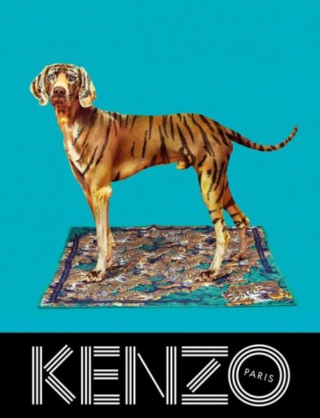 Publicité Kenzo - Collection Automne-Hiver 2013 - Art contemporain - Chien zébré sur un tapis