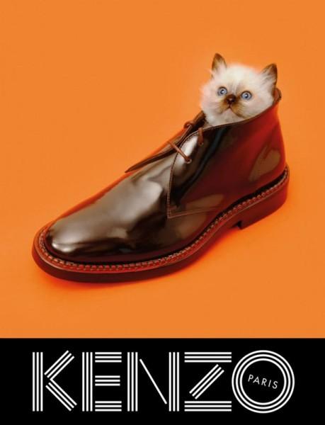 Publicité Kenzo - Collection Automne-Hiver 2013 - Art contemporain - Chaton sort la tête d'une chaussure