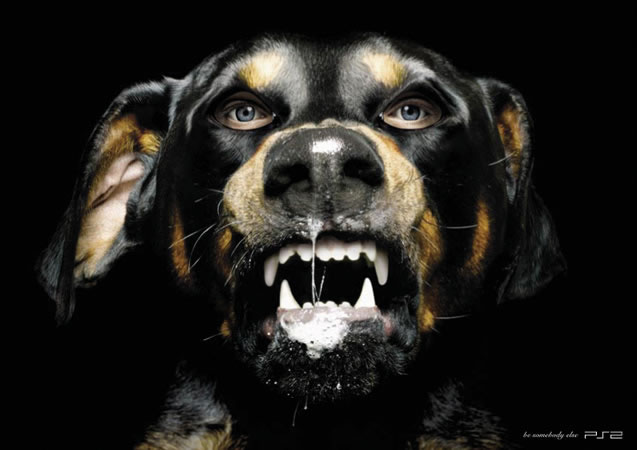 Publicité Playstation - PS2 - Be somebody else - Chien enragé avec des yeux d'homme - TBWA Singapour - 2004