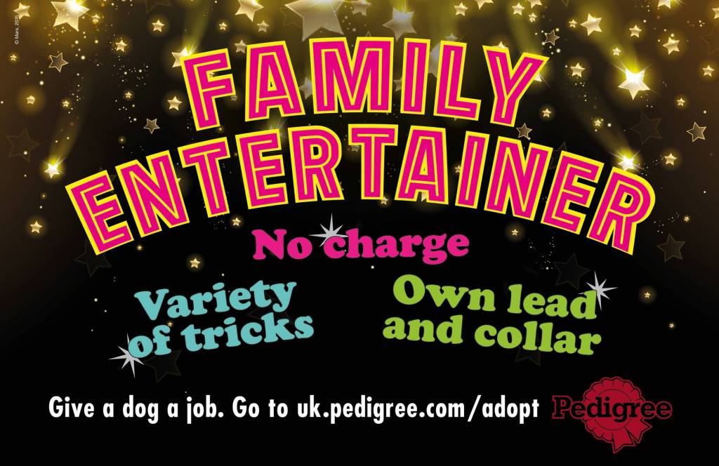 Publicité Pedigree - Adoption - Give a dog job - Annonce publicitaire - Family entertainer - Agence AMV BBDO - GB - 2015