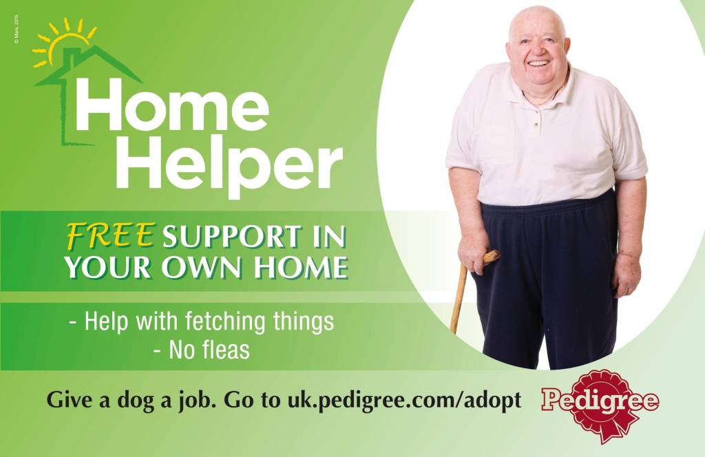 Publicité Pedigree - Adoption - Give a dog job - Annonce publicitaire - Home helper- Agence AMV BBDO - GB - 2015
