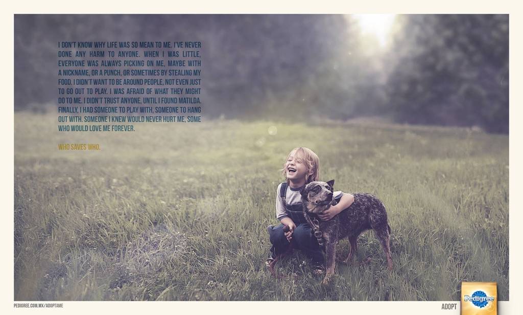 Publicité Pedigree - Adopt - Who saves who - I don't know why life was so mean to me - Un enfant rit aux éclats dans un champ avec son chien - Agence BBDO - Mexique - 2014