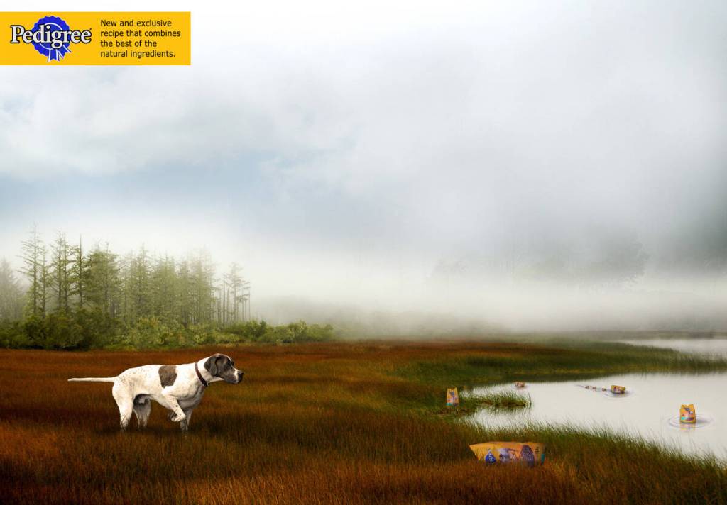 Publicité Pedigree - Un chien de chasse à l'arrêt près d'un marais où se trouvent des paquets de Pedigree - Agence Holy Jesus -Chili - 2008