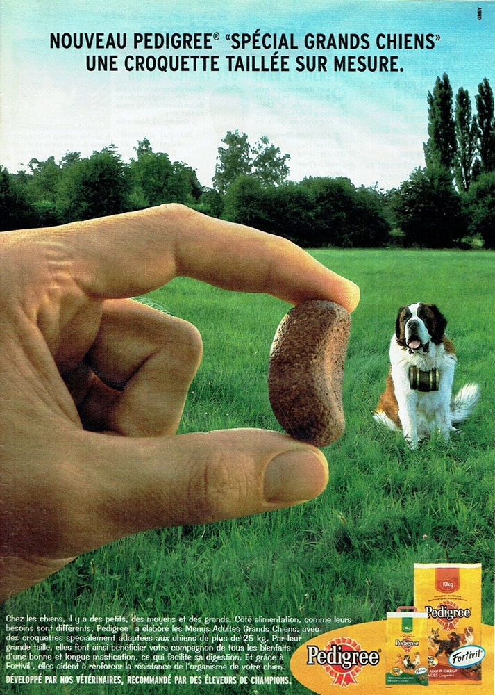 Publicité Pedigree - Croquettes spécial Grands Chiens - Une croquette taillée sur mesure - Une main tient la croquette du chien en gros plan au premier plan - Un Saint-Bernard au second plan - Agence Grey - France - 1998