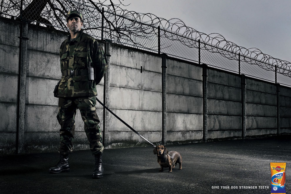 Publicité Pedigree - Dentastix - Donnez à votre chien des dents solides - Un homme au pied d'un mur avec des barbelés accompagné d'un teckel - Agence TBWA - France - 2006