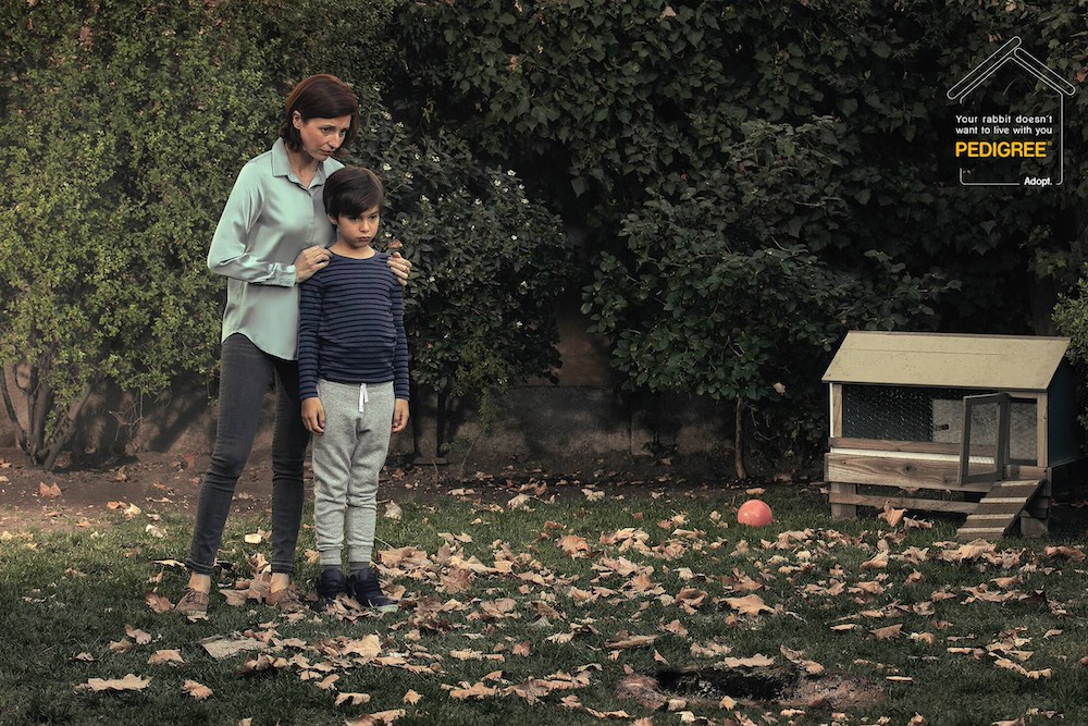 Publicité Pedigree - Adoption - Your rabbit doesn't want live with you ? Adopt - Un enfant triste dans son jardin et la cage vide de son lapin - Agence BBDO - Chili - 2019