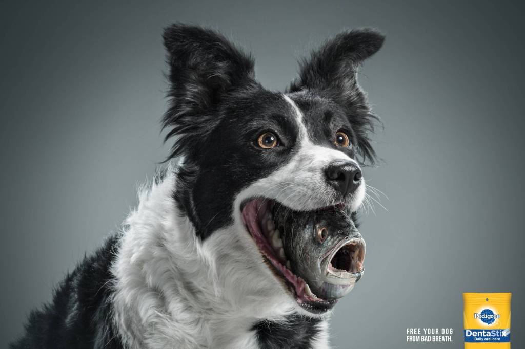 Publicité Pedigree - Dentastix - Free your dog from bad breath - une tête de poisson sort de la bouche d'un chien - Agence BBDO - Mexique - 2014