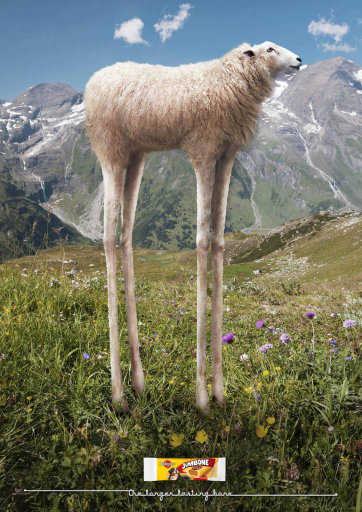 Publicité Pedigree - Jumbone - Un mouton avec des jambes de grandes tailles - Agence BBDO - Russie - 2011