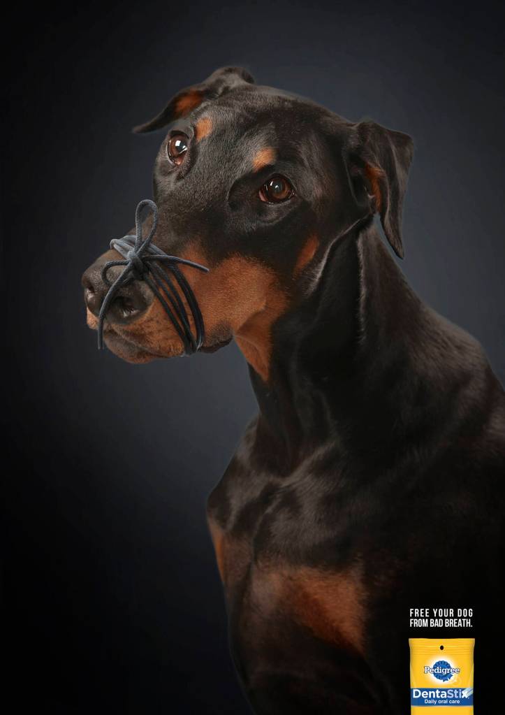 Publicité Pedigree - Denstatix - Free your dog from bad breath - Un chien à le museau attaché avec un lacet - Miami Ad School - Espagne - 2017