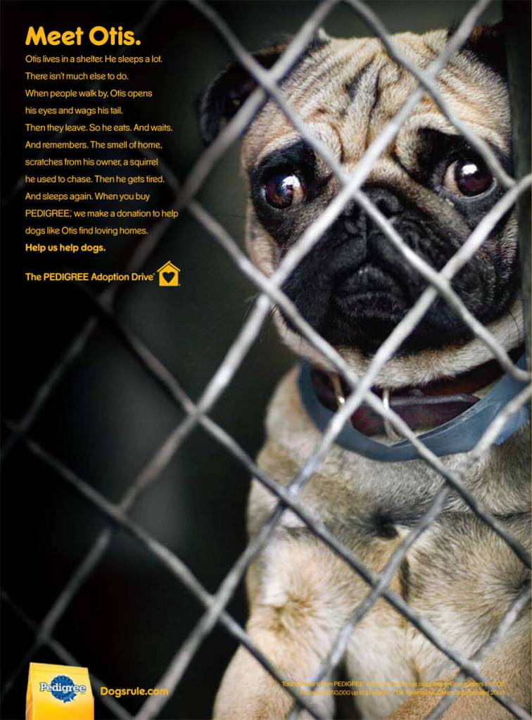 Publicité Pedigree - Adoption - The Pedigree Adoption Drive - Help us help dogs - Meet Otis - Un chien triste derrière un grillage - Agence TBWA/Chiat/Day - USA - 2008