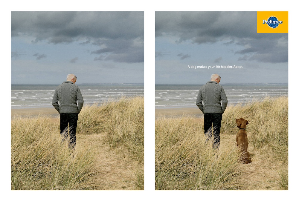 Publicité Pedigree - Adoption - A dog makes your life happier - Un homme dans les dunes avec ou sans chien - Agence AlmapBBDO - Brésil - 2013
