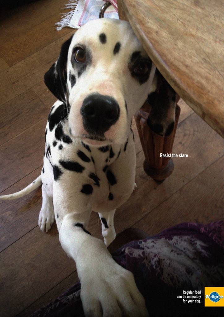 Publicité Pedigree - Resist the stare - Regular food can be unhealthy for your dog - Un dalmatien pose sa patte sur les genoux de son maître - Miami Ad school - Brésil - 2018