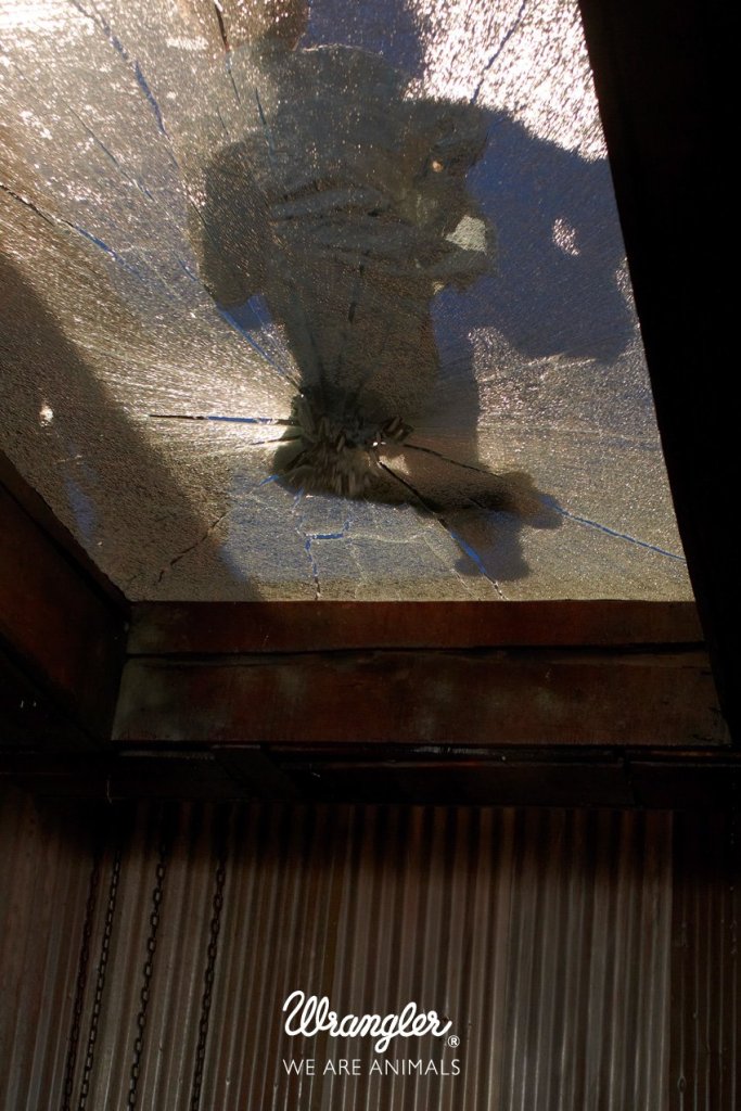 Publicité Wrangler - We are animals - Stunt - Un homme brise une fenêtre vue de dessous - Agence Fred&Farid - France - Photographe Cass Berd